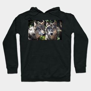 Wolfs Hoodie